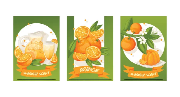 Εσπεριδοειδών διανυσματικές τροπικό σκηνικό φρέσκο πορτοκάλι ζουμερό ποτά σε ένα βάζο και βιολογικά τρόφιμα ζελέ τροφίμων σήμα εικονογράφηση σύνολο με φύλλα πορτοκαλιάς φόντο φρουτώδες πανό — Διανυσματικό Αρχείο