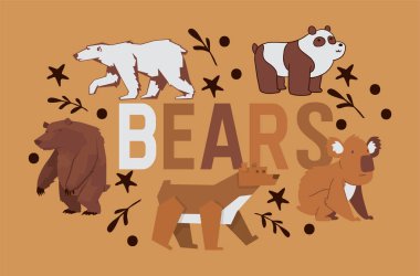 Ayı vektör vahşi hayvan karakteri kahverengi boz panda she-bear ve kutup ayısı illüstrasyon zemin karikatür oyuncak ayı arka plan hayvani duvar kağıdı