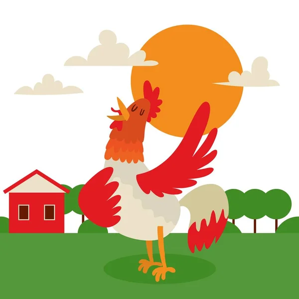 Rooster cantando o interpretando canciones en la ilustración del vector de banner de fondo del país. Polla de granja con plumaje brillante, avicultura. Amanecer o amanecer cerca de casa. Naturaleza . — Vector de stock