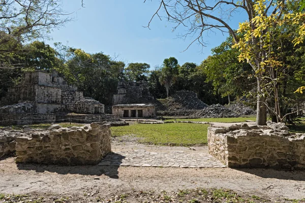 Antik Maya Muyil Chunyaxch Arkeolojik Site Quintana Roo Meksika Bina — Stok fotoğraf