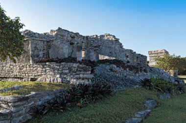 Harabeleri Maya şehir tulum, quintana roo, Meksika