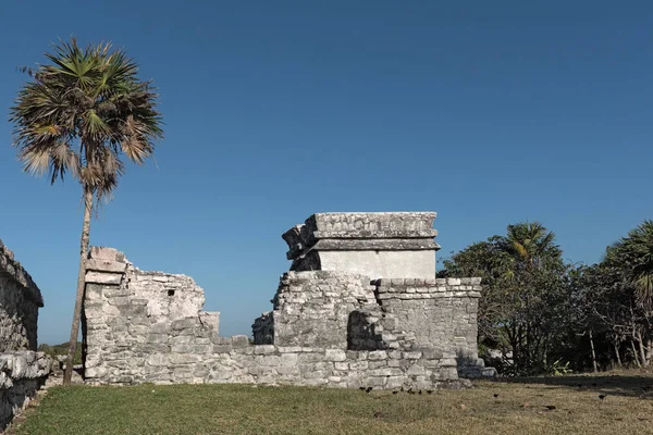 Ruínas Cidade Maia Tulum Quintana Roo México — Fotografia de Stock