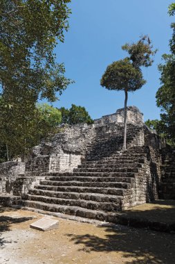 Calakmul, campeche, Meksika Maya antik kenti kalıntıları