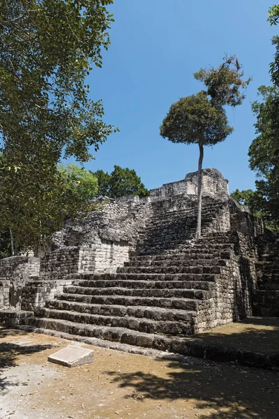 Ruiny Starověkého Mayského Města Calakmul Byl Campeche Mexiko — Stock fotografie