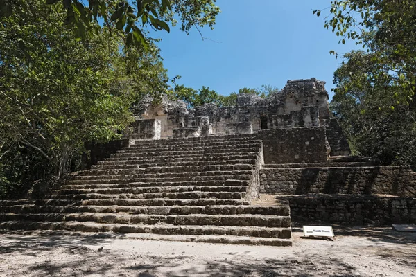 Calakmul Campeche Meksika Maya Antik Kenti Kalıntıları — Stok fotoğraf