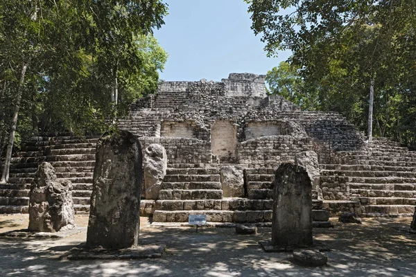 卡拉克穆尔古玛雅城市遗址 坎佩切 墨西哥 — 图库照片