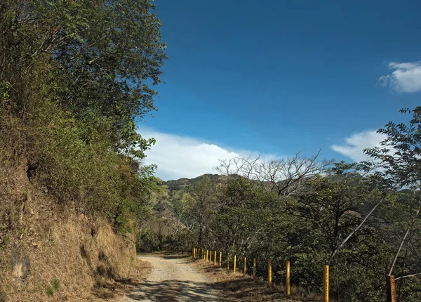 Sluit Onverharde Weg Het Nevelwoud Van Monteverde Reserve Costa Rica — Stockfoto