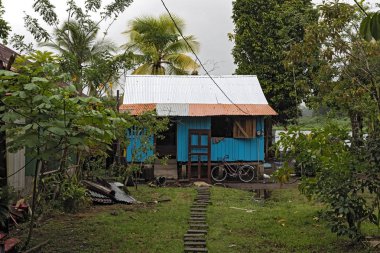 Tortuguero, Kosta Rika-Mart 21, 2017:'in şehir adını tortuguero, Kosta Rika küçük mavi ahşap ev