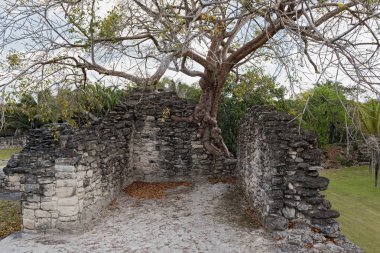 Antik Maya şehri Kohunlich 'in kalıntıları, Quintana Roo, Meksika.