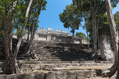 Calakmul, campeche, Meksika Maya antik kenti kalıntıları.