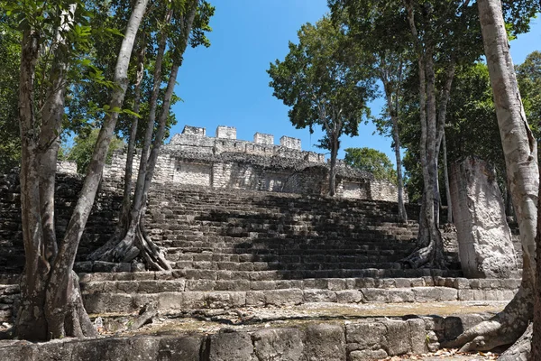 Calakmul, campeche, Meksika Maya antik kenti kalıntıları.