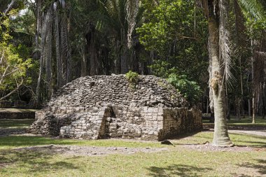 Antik Maya şehri Kohunlich 'in kalıntıları, Quintana Roo, Meksika.
