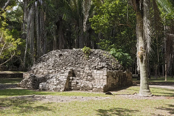 Antik Maya şehri Kohunlich 'in kalıntıları, Quintana Roo, Meksika.