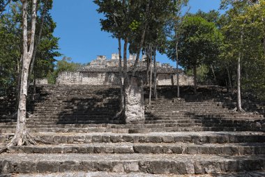 Calakmul, campeche, Meksika Maya antik kenti kalıntıları.