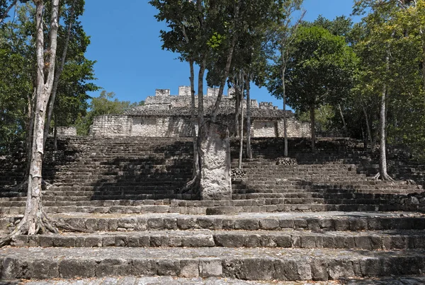 Ruiny Starověkého Mayského Města Calakmul Byl Campeche Mexiko — Stock fotografie