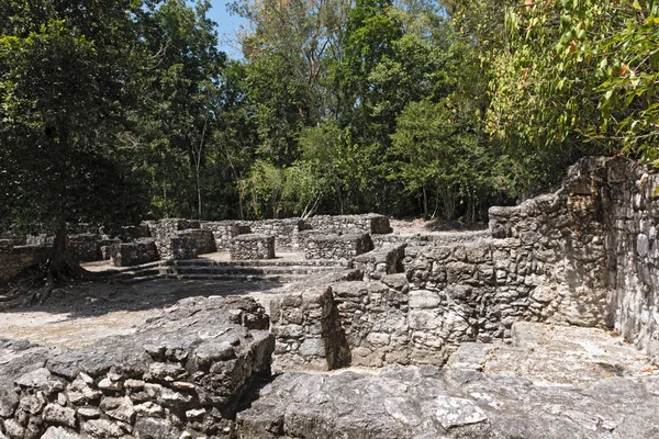 Calakmul, campeche, Meksika Maya antik kenti kalıntıları.