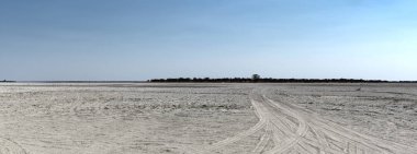 Nxai Pan 'daki Kudiakam Pan Ulusal Parkı, Botswana