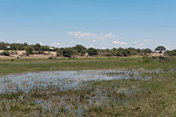 非洲博茨瓦纳 Makgadikgadi 国家公园 Boteti 河景观 — 图库照片