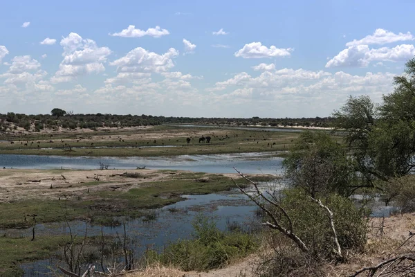 Krajina Boteti Řeky Makgadikgadi Národní Park Botswana Afrika — Stock fotografie