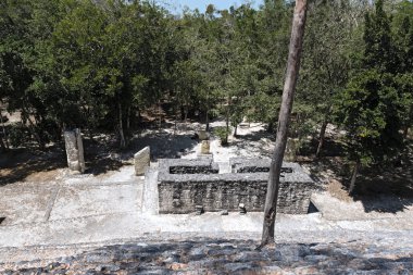 Calakmul, campeche, Meksika Maya antik kenti kalıntıları
