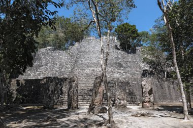 Calakmul, campeche, Meksika Maya antik kenti kalıntıları