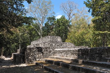 Calakmul, campeche, Meksika Maya antik kenti kalıntıları