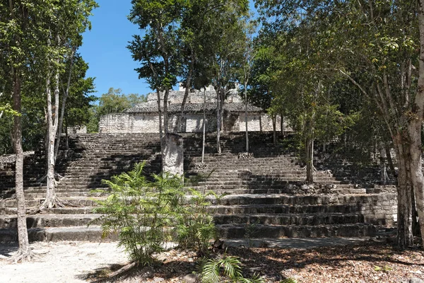 Ruinerne Den Gamle Maya Calakmul Campeche Mexico - Stock-foto