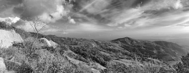 Kosta Rika 'daki Monteverde Bulut Rezervi, siyah beyaz