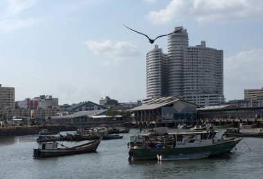 Panama City, Panama - 04 Mart 2019: eski balıkçı tekneleri manzarası arka plan ile Panama City'deki fish market yakınındaki