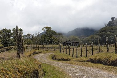 Yağmur veya bulut orman içinde Volcan Baru Panama Ulusal Park