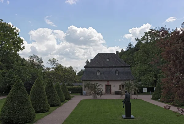 Parque con naranjero del monasterio eberbach Alemania —  Fotos de Stock