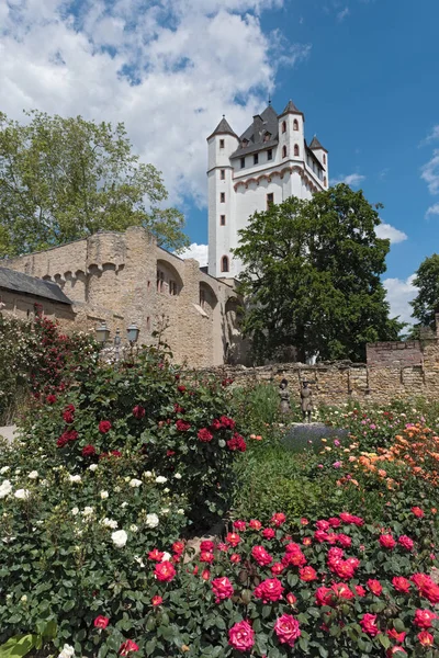 Wieża w zamku wyborczym w Eltville na Renie Niemcy — Zdjęcie stockowe
