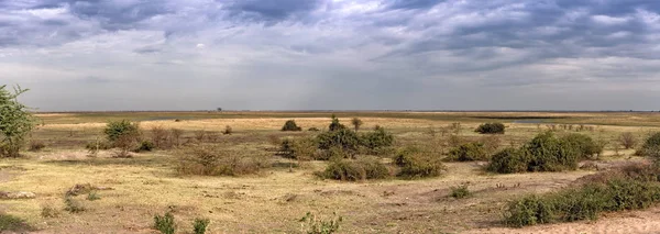 Пейзаж почти высохшей реки Чобе в конце сухого сезона как раз перед слиянием с рекой Замбези, Ботсвана — стоковое фото