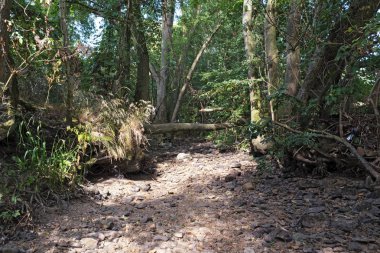 Frankfurt Main batısında kurutulmuş bir dere yatağı