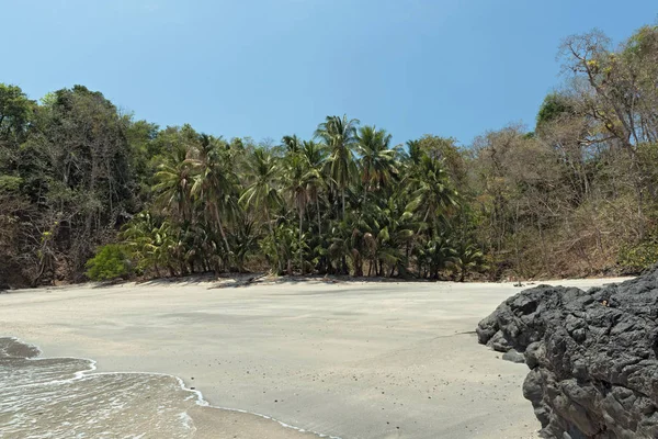 Plage de palmiers tropicaux sur l'île de Cebaco panama — Photo