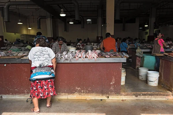 멕시코 의 캄 페헤 시장에서 식 하는 물고기들 — 스톡 사진