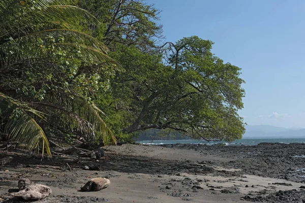 Belle plage de sable fin sur l'île cebaco panama — Photo
