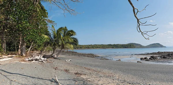 Piękna piaszczysta plaża na wyspie cebaco panama — Zdjęcie stockowe