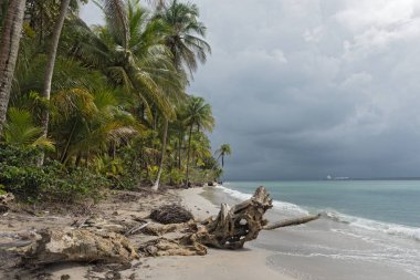 Panama, Boca del Drago sahilinin panoramik manzarası