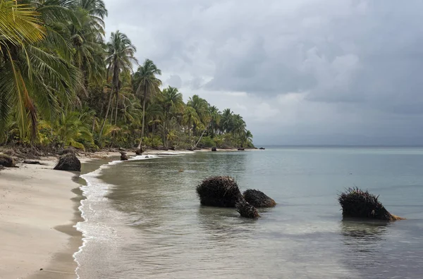 Panoramic view of the beach of Boca del Drago, Panama — Stock Photo, Image