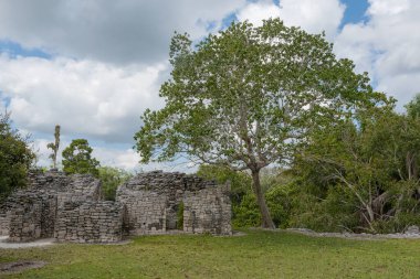 Antik Maya şehri Kohunlich 'in kalıntıları, Quintana Roo, Meksika