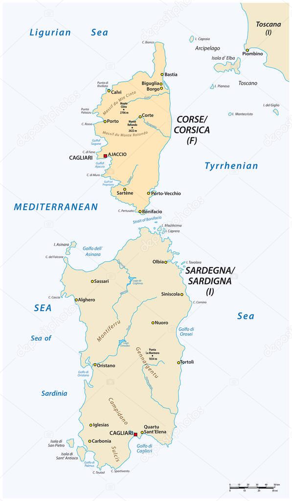 vector map of the two mediterranean sea islands of corsica and sardinia