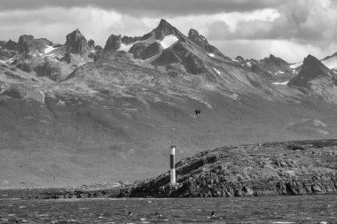 Les Eclaireurs Deniz feneri Ushuaia yakınlarındaki Beagle Channel, Arjantin