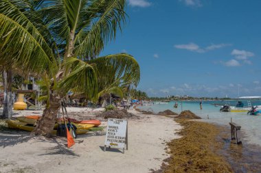 MAHAHUAL, MEXICO-MARCH 06, 2018: Mahahual Sandy Plajı, Quintana Roo, Meksika