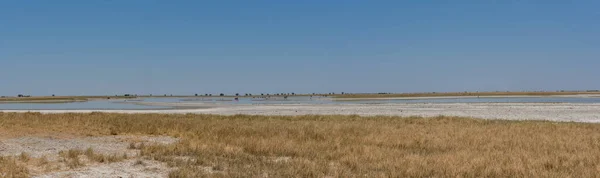 博茨瓦纳Makgadikgadi地区的苏亚盐锅 — 图库照片