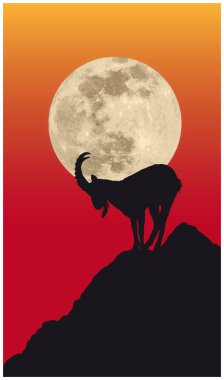 Ayın önünde, kayanın üzerinde Chamois silueti.