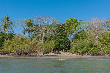 Sebaco Adası, Panama 'daki tropik plaj.