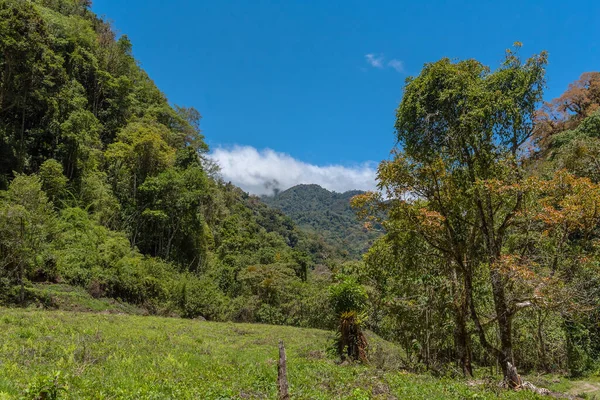 Floresta Tropical Nuvens Parque Nacional Vulcão Baru Panamá — Fotografia de Stock