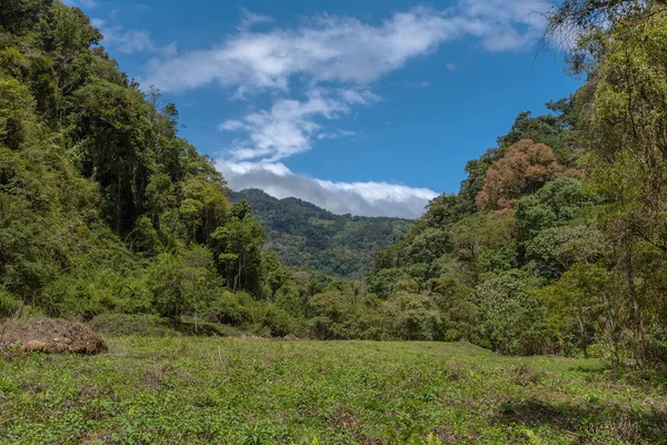 Floresta Tropical Nuvens Parque Nacional Vulcão Baru Panamá — Fotografia de Stock