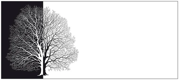 Διανυσματική Σιλουέτα Δέντρου Ασπρόμαυρο — Διανυσματικό Αρχείο